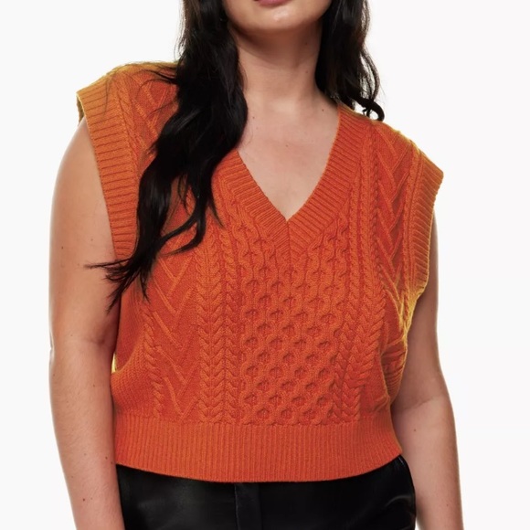 Aritzia Sweaters - Babaton Brown Sweater Vest